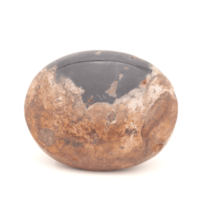 Palm Wood Palmstone 6