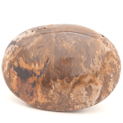 Palm Wood Palmstone 7