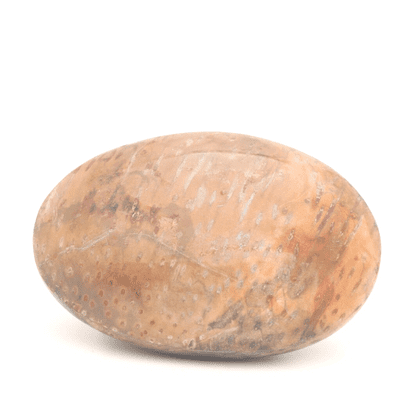 Palm Wood Palmstone 8