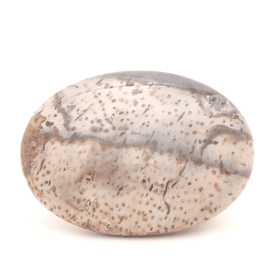 Palm Wood  Palmstones