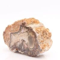 Petrified Wood