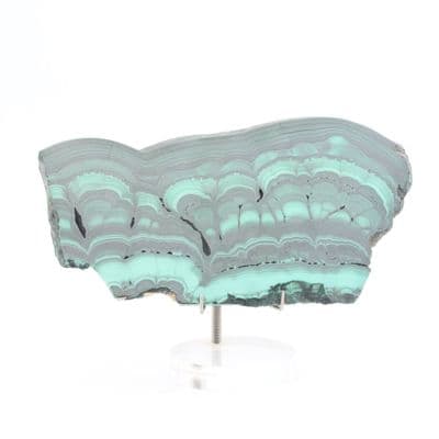 Polished Malachite Slice 2
