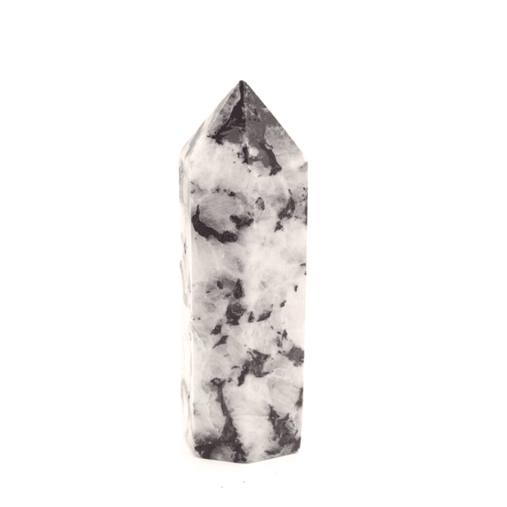 Rainbow Moonstone with Black Tourmaline Point