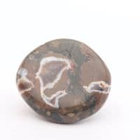 Rhyolite Palmstone | Crystals For Healing