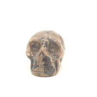 Rhyolite Skull

