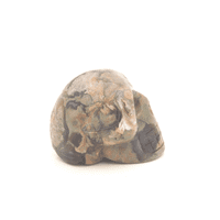 Rhyolite Skull

