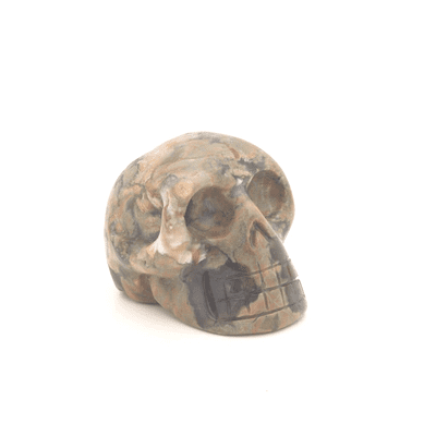 Rhyolite Skull 101
