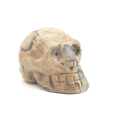 Rhyolite Skull 7