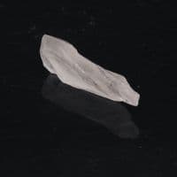 Root of Lemurian Crystal | Code Keeper of Freedom