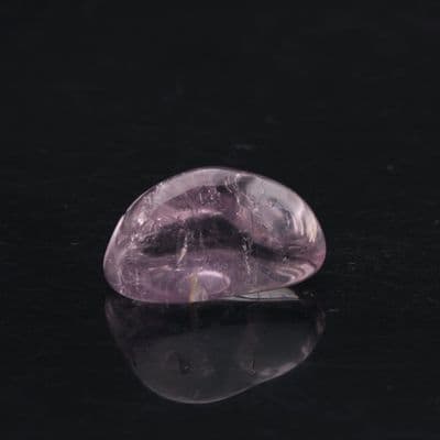 Rose de France  Amethyst 1