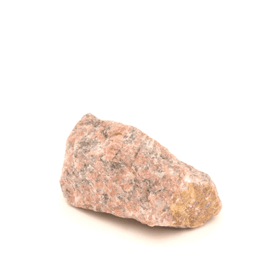 Rosophia 1