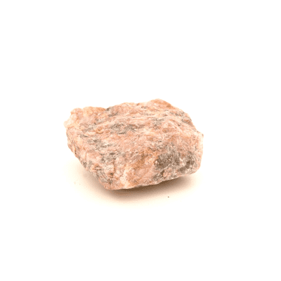 Rosophia 11