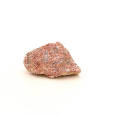 Rosophia 16