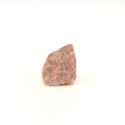 Rosophia 19