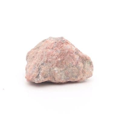 Rosophia 22