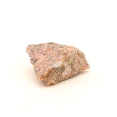 Rosophia 8