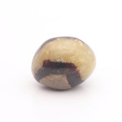 Round Septarian Nodule 15