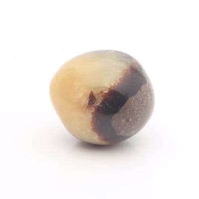 Round Septarian Nodule 16