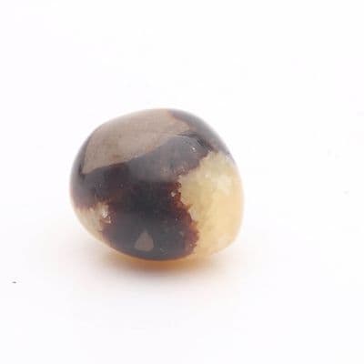 Round Septarian Nodule 2