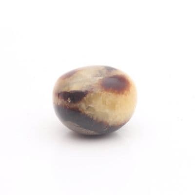 Round Septarian Nodule 6