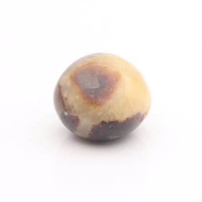 Round Septarian Nodule 8