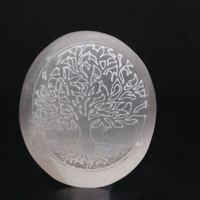 Selenite Palmstone  (Tree of Life) 2