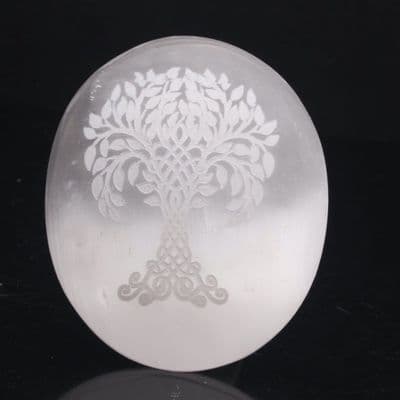 Selenite Palmstone  (Tree of Life) 4