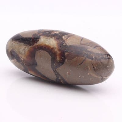 Septarian Nodule 18