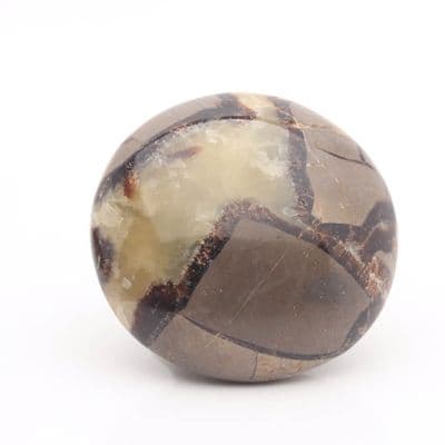 Septarian Nodule 25