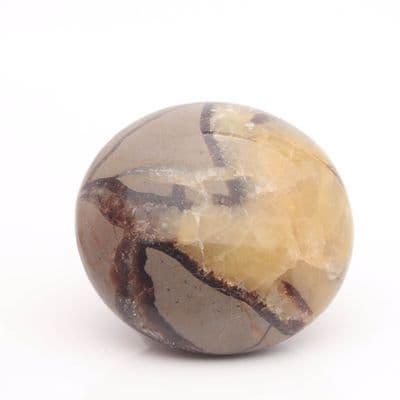 Septarian Nodule 26