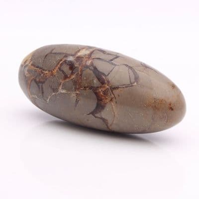 Septarian Nodule 5