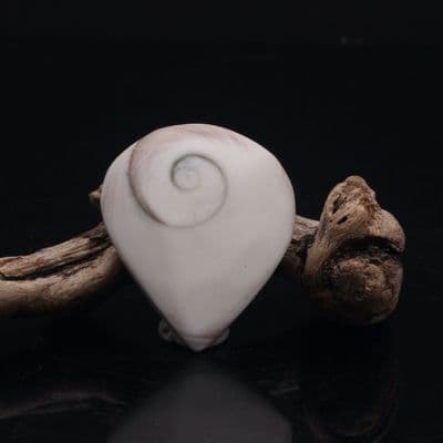 Shiva Eye Drop 3