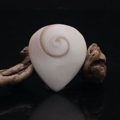 Shiva Eye Drop 4