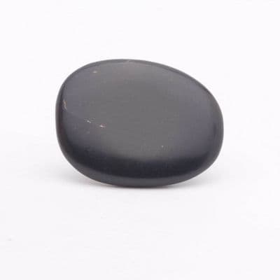 Shungite Palmstone 16