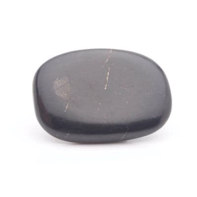 Shungite Palmstone 2