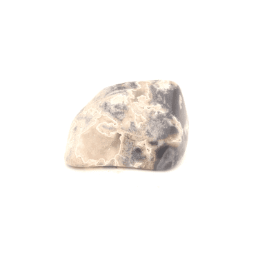 Silver Leaf Jasper 1
