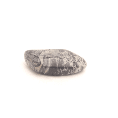 Silver Leaf Jasper 12