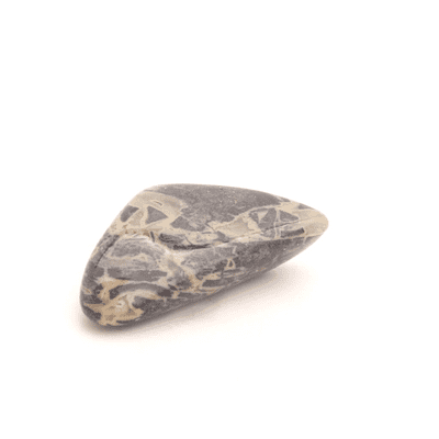 Silver Leaf Jasper 13