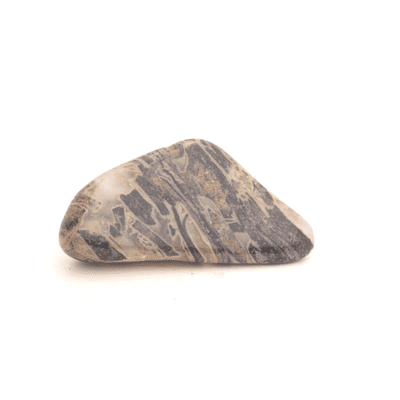 Silver Leaf Jasper 17