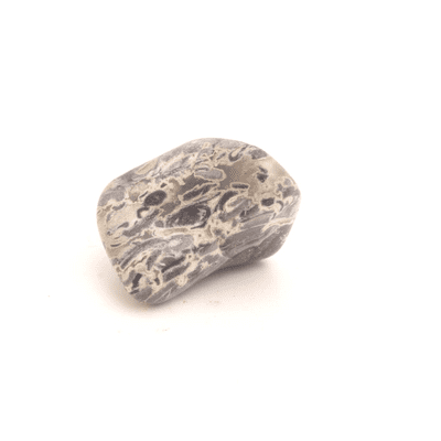 Silver Leaf Jasper 18