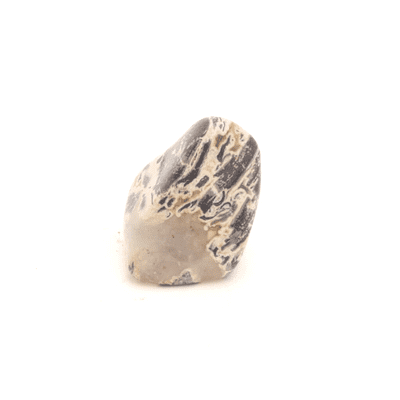 Silver Leaf Jasper 23