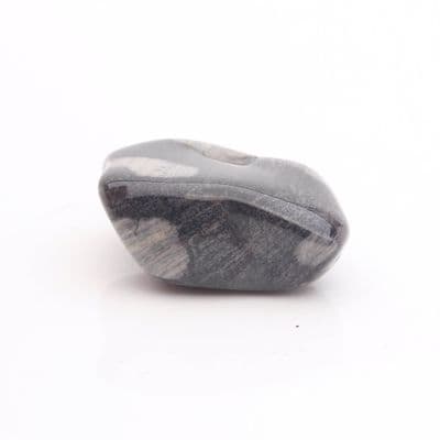 Silver Leaf Jasper 7