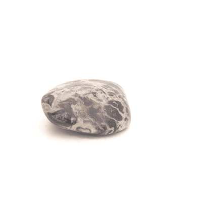 Silver Leaf Jasper 9