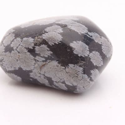 Snowflake Obsidian 22