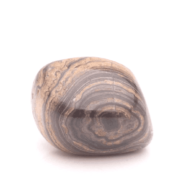 Stromatolite