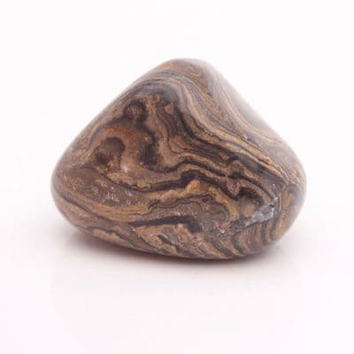 Stromatolite (Tumbled) 2