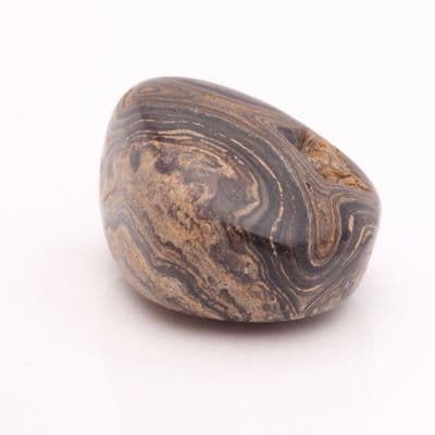 Stromatolite (Tumbled) 3