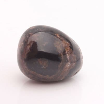 Stromatolite (Tumbled) 7