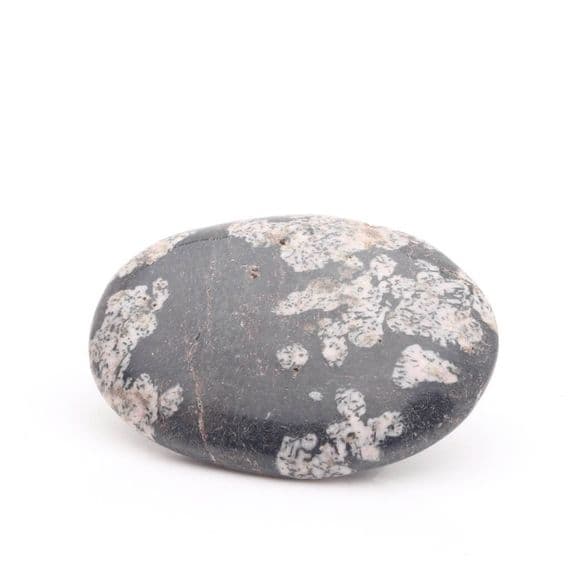 Tectonite Palmstone