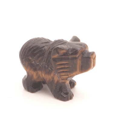 Tiger Eye Bear 3
